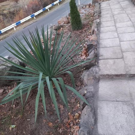 Green World Byurakan Екстериор снимка
