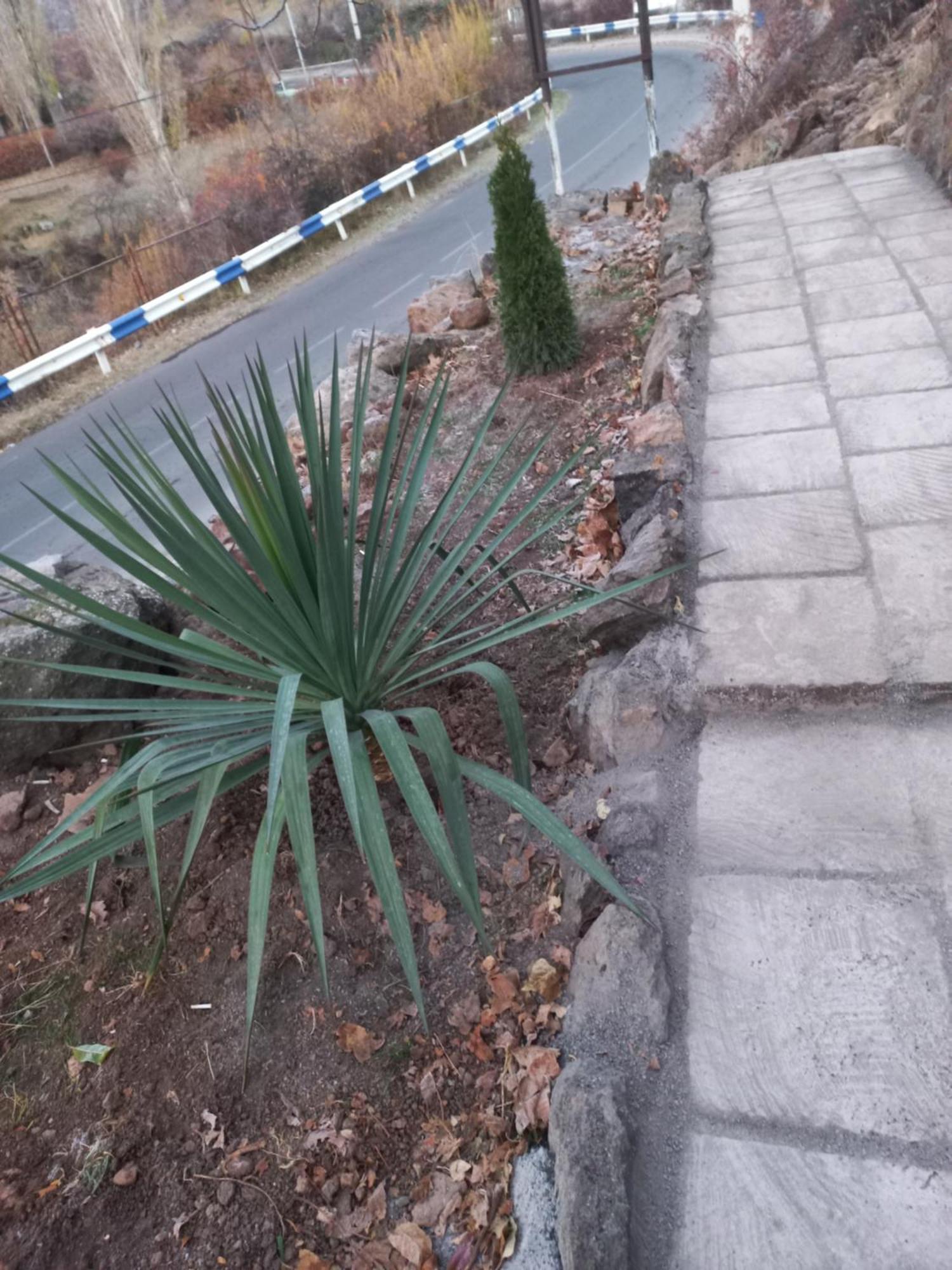 Green World Byurakan Екстериор снимка